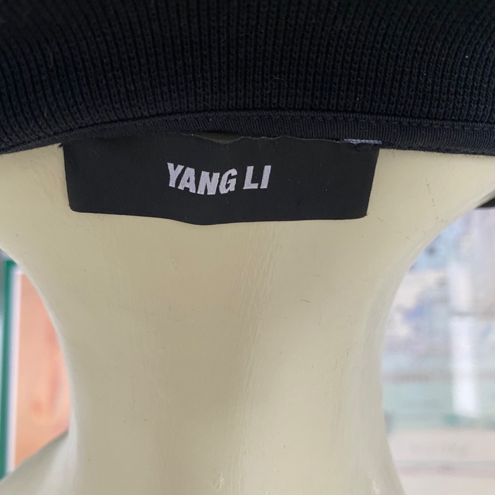 Yang Li - Picture 3 of 3